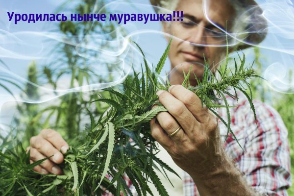 Сайт кракен зайти